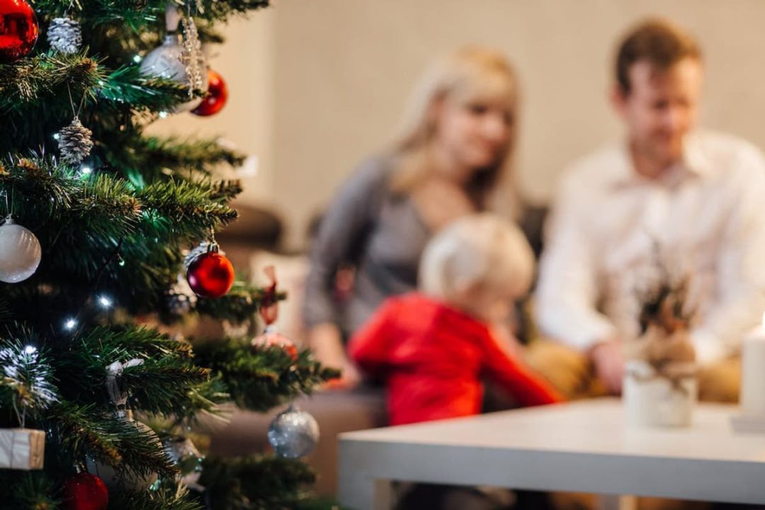 découvrez les risques et les conséquences lorsque des parents laissent leurs enfants seuls avec des repas surgelés à noël. conseils et précautions pour assurer leur sécurité pendant les fêtes.